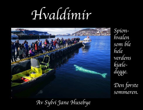 Hvaldimir - spionhvalen som ble hele verdens kjæledegge : den første sommeren