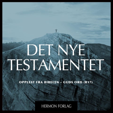Det nye testamentet