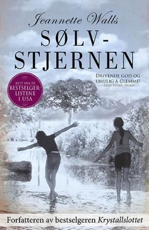 Sølvstjernen - en roman