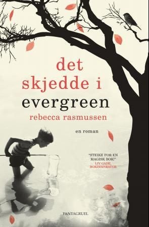Det skjedde i Evergreen - en roman