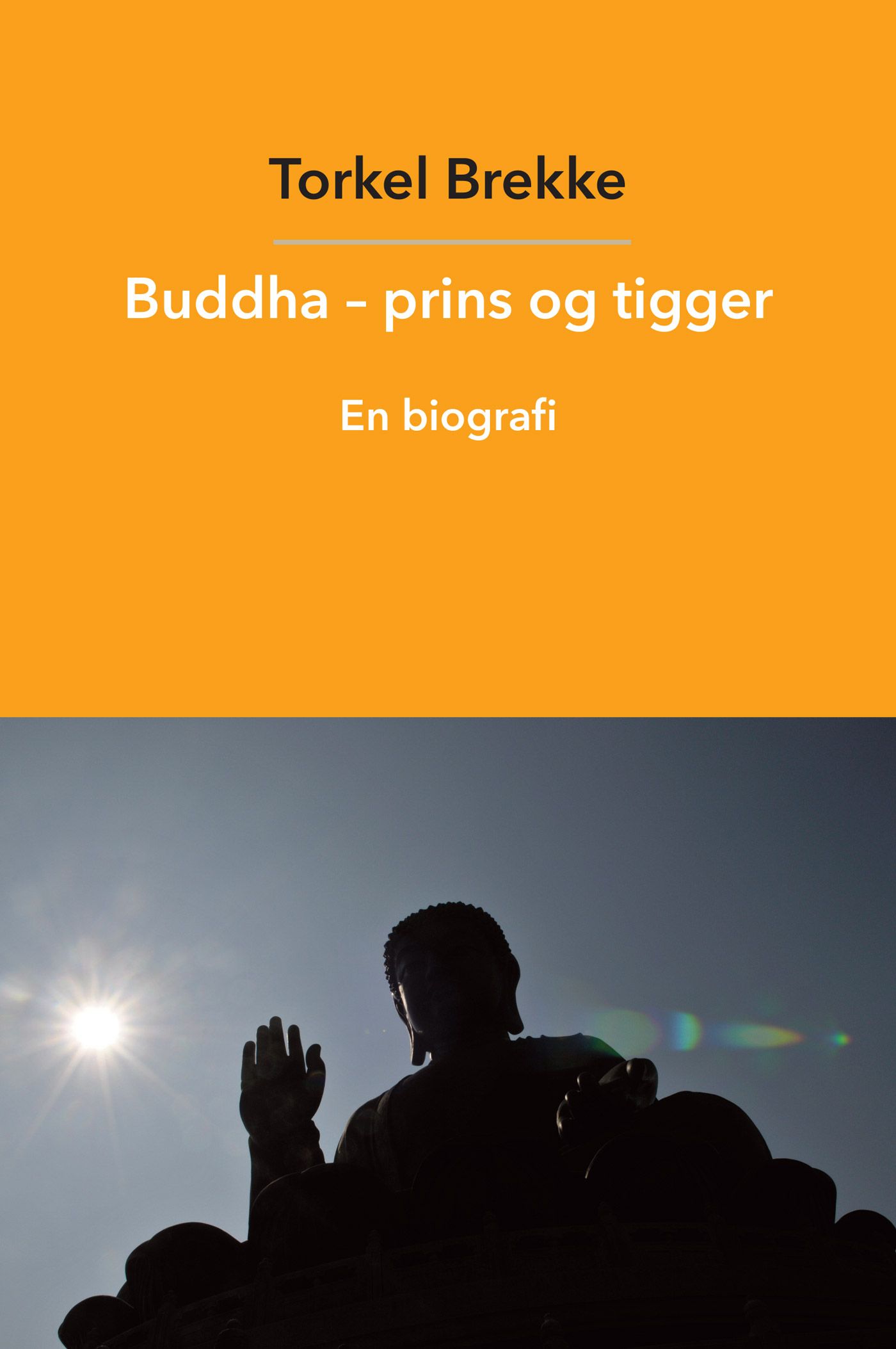 Buddha - prins og tigger - en biografi