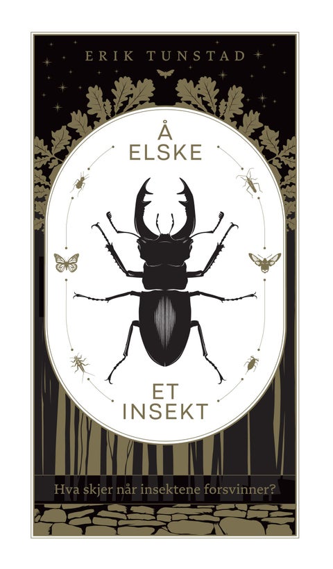 Å elske et insekt - hva skjer når insektene forsvinner?