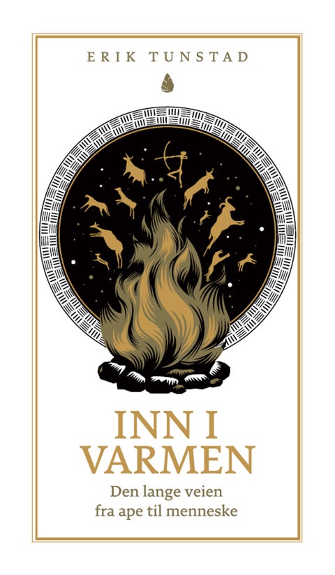 Inn i varmen - den lange veien fra ape til menneske