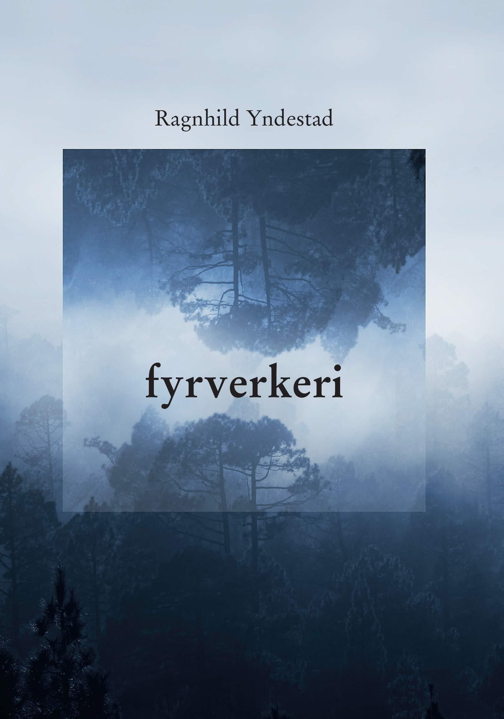 Fyrverkeri