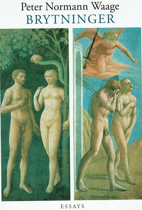 Brytninger - essays