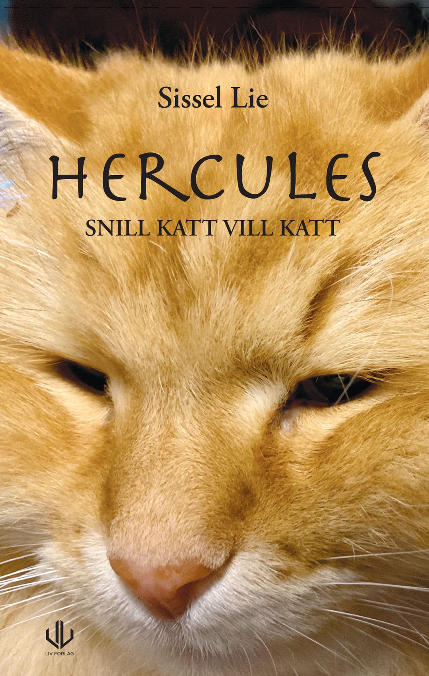 Hercules - snill katt vill katt