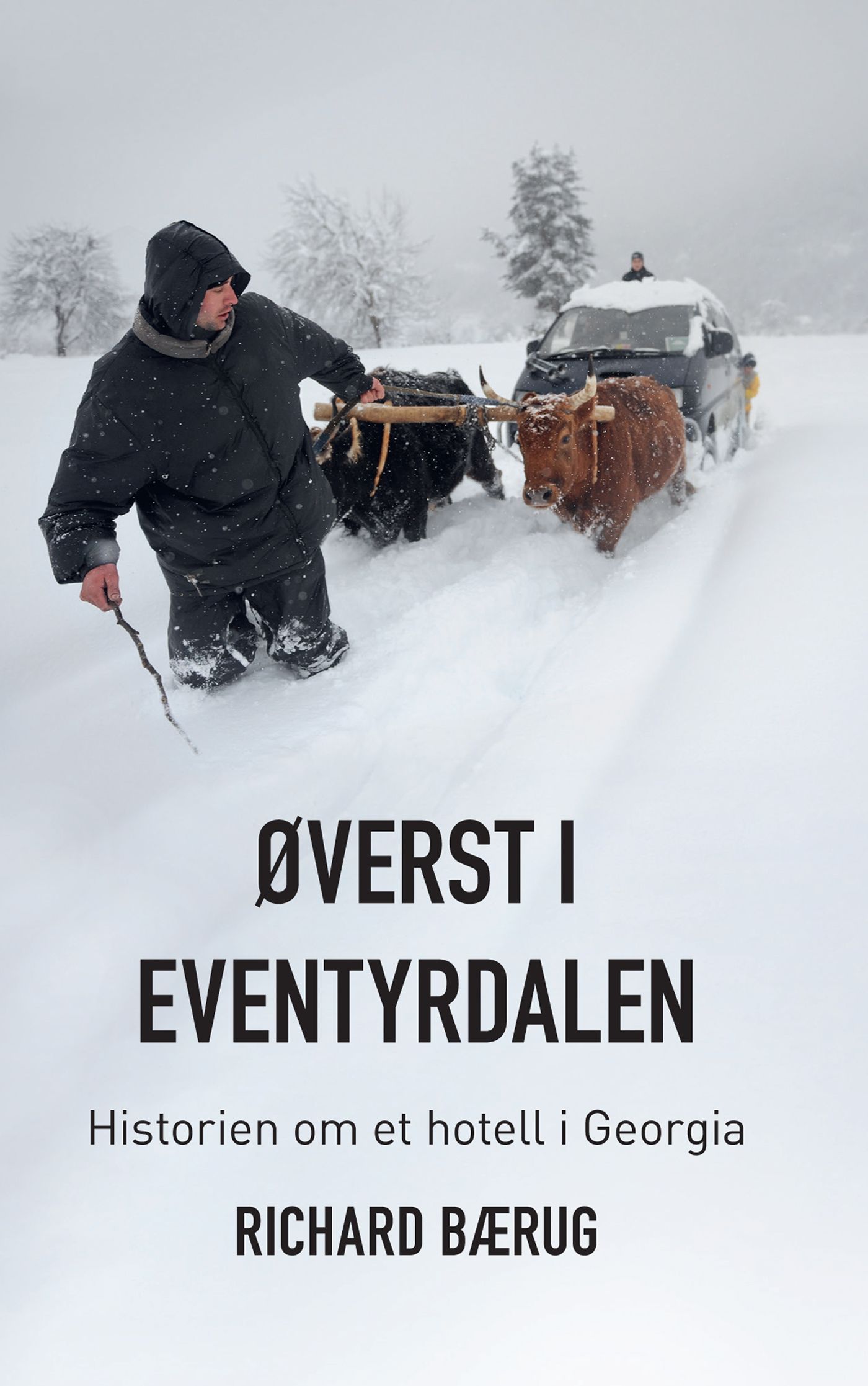 Øverst i eventyrdalen - historien om et hotell i Georgia