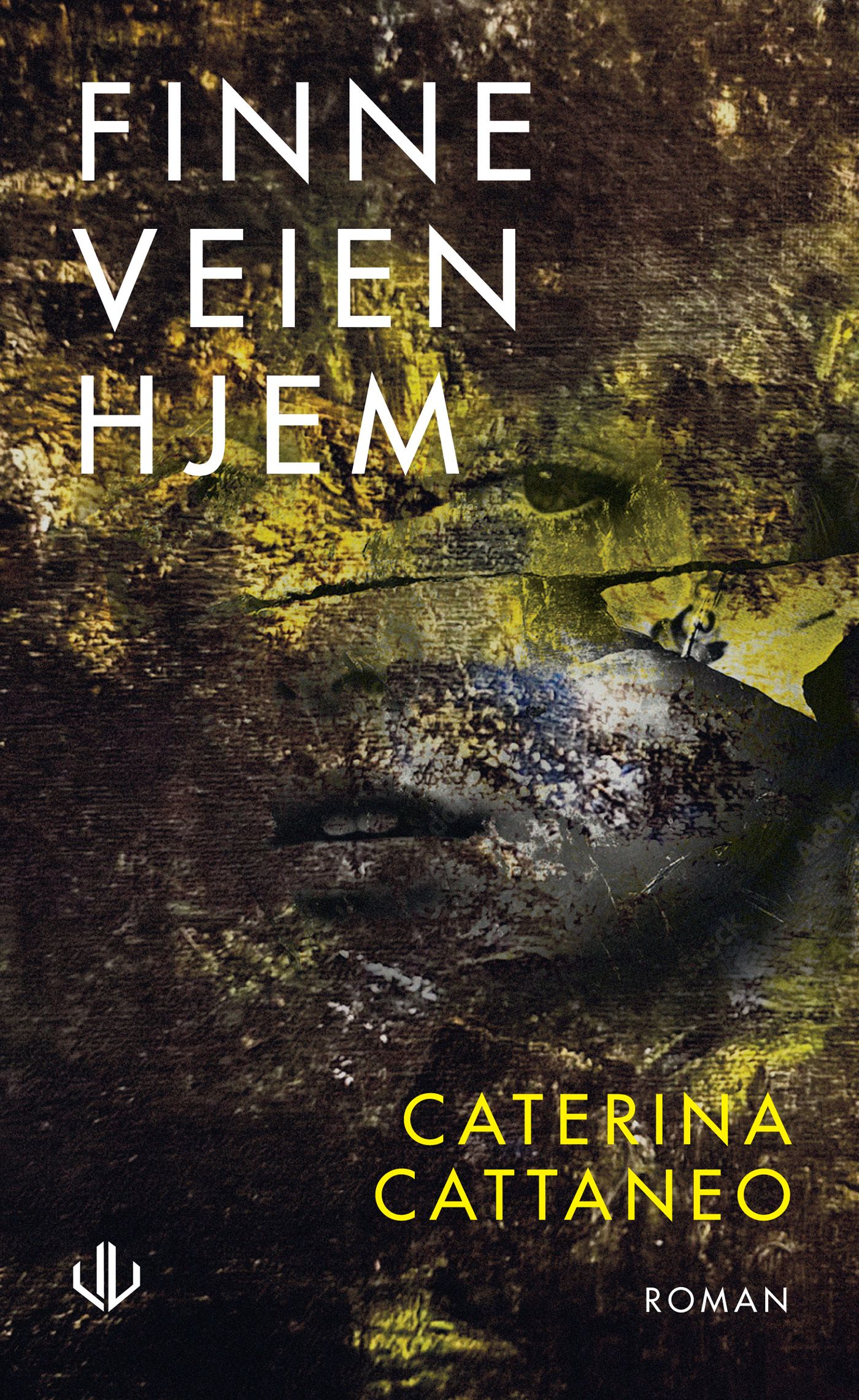 Finne veien hjem - roman