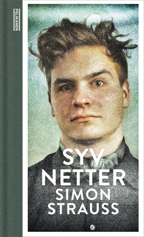 Syv netter - roman