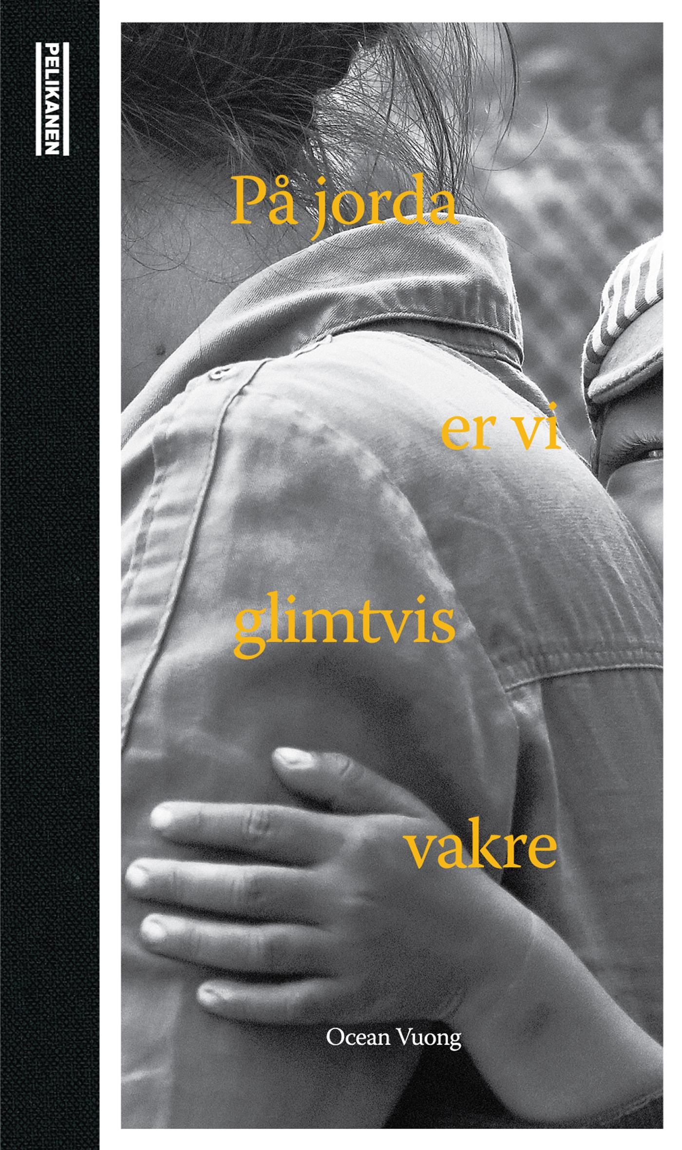 På jorda er vi glimtvis vakre - roman