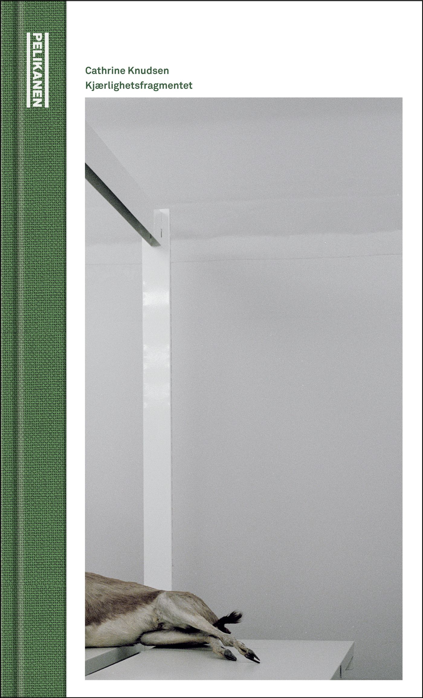 Kjærlighetsfragmentet - roman