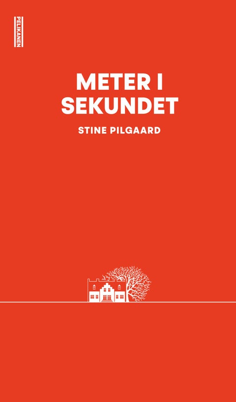 Meter i sekundet - roman