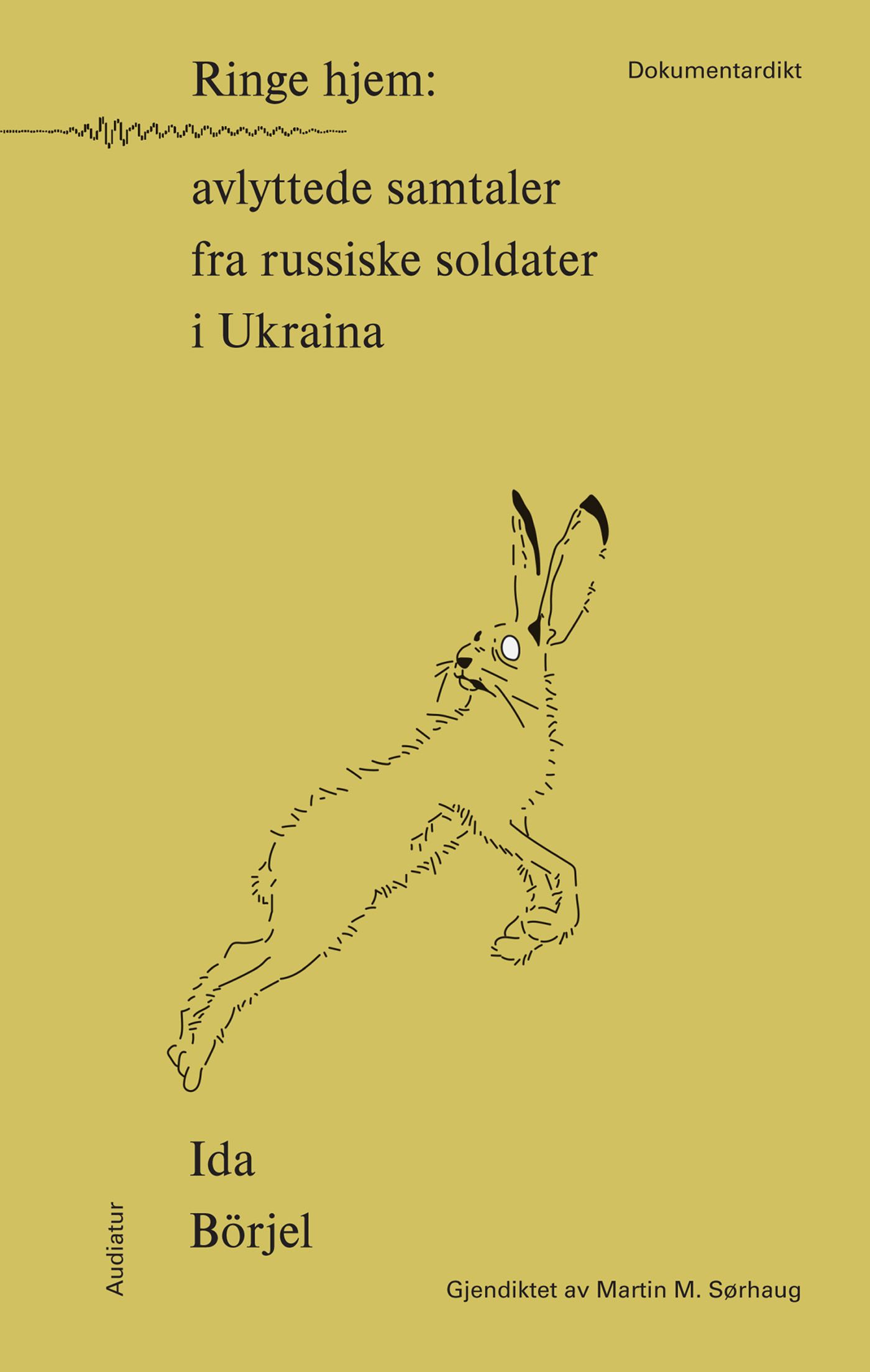 Ringe hjem - avlyttede samtaler fra russiske soldater i Ukraina : dokumentardikt