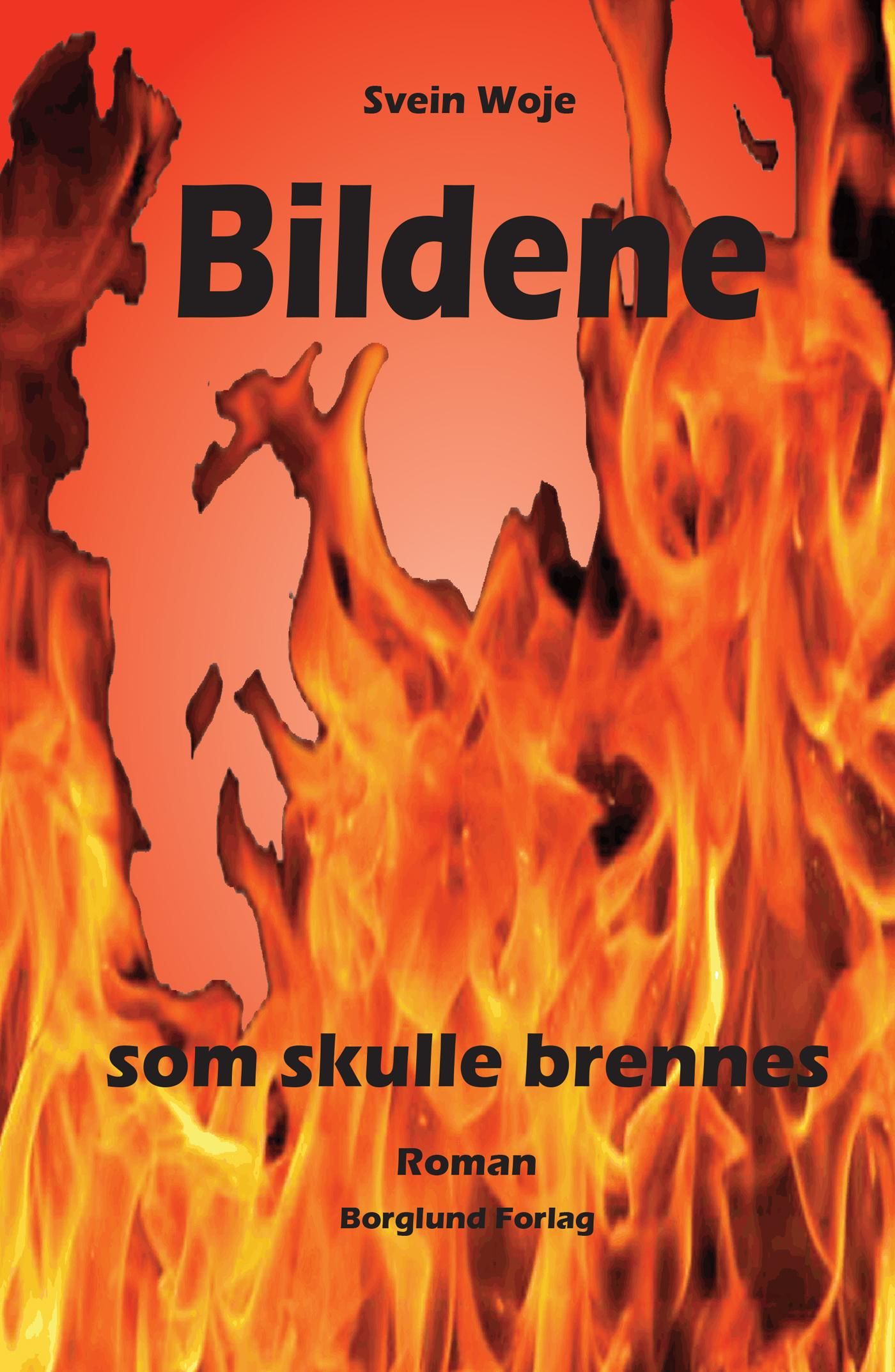 Bildene som skulle brennes - roman
