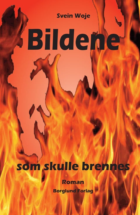 Bildene som skulle brennes - roman
