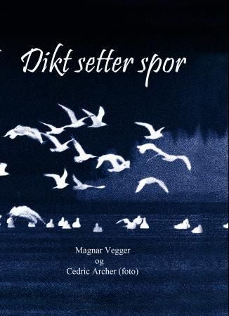 Dikt setter spor