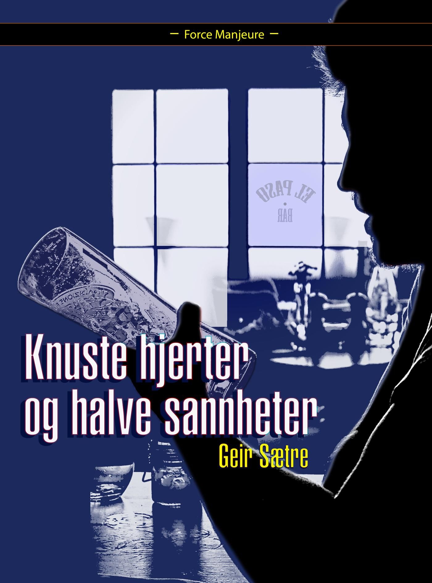 Knuste hjerter og halve sannheter - roman