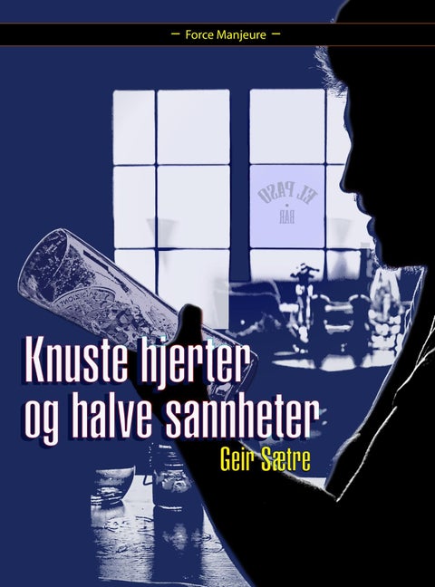 Knuste hjerter og halve sannheter - roman