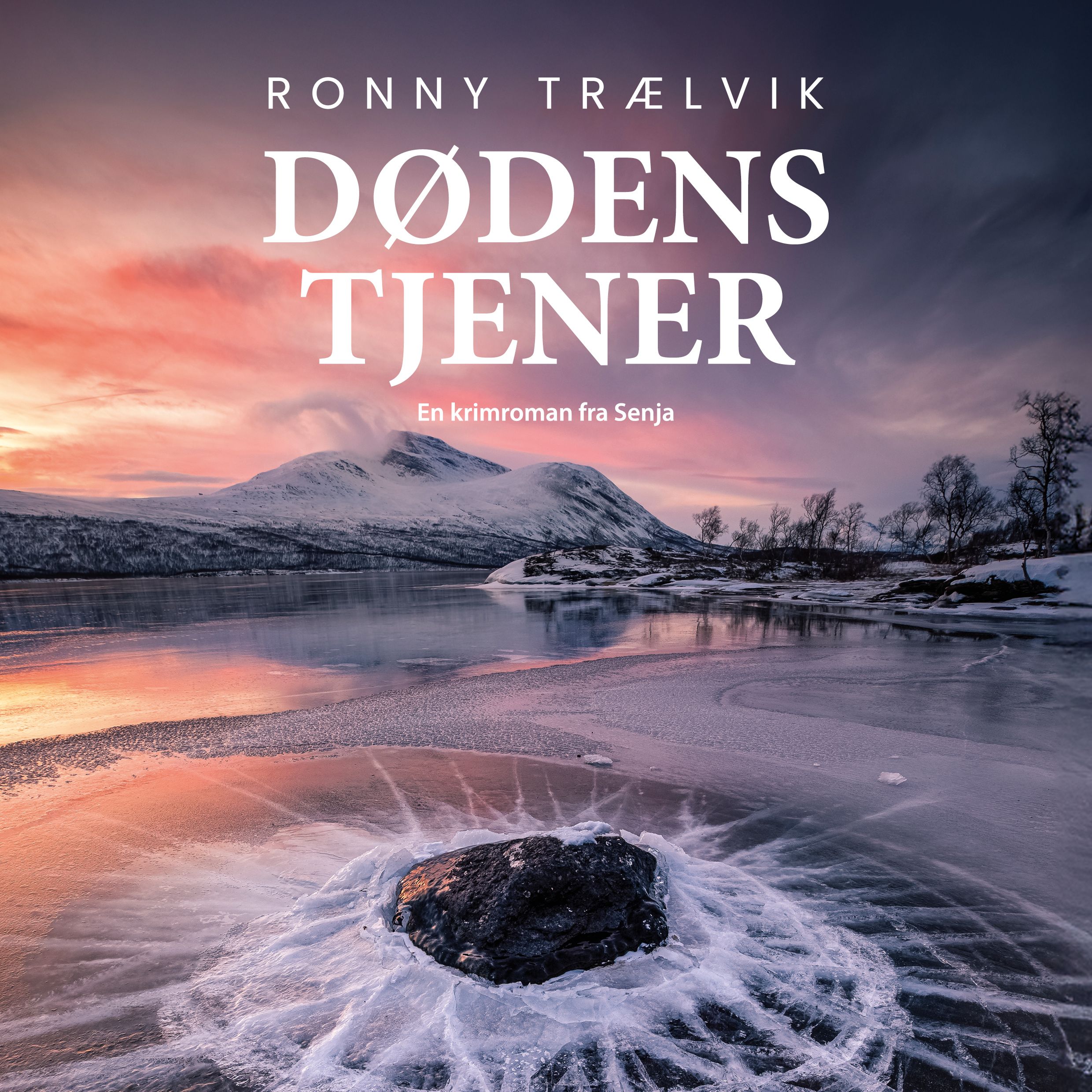 Dødens tjener - en krimroman fra Senja