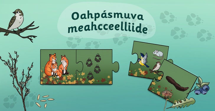 Oahpásmuva meahcceelliide. Bardinspeallu