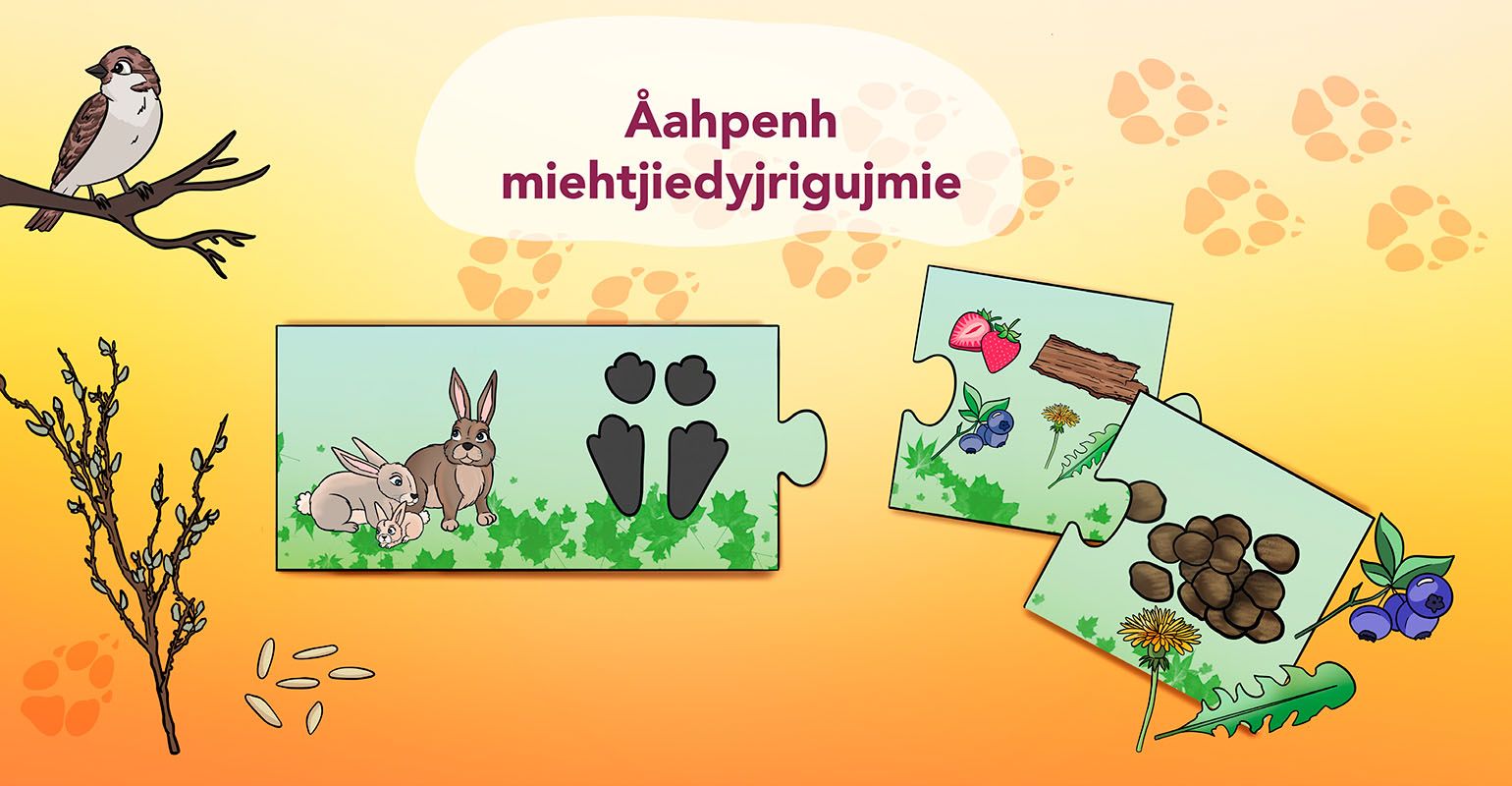 Åahpenh miehtjiedyjrigujmie. Spïele