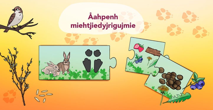 Åahpenh miehtjiedyjrigujmie. Spïele