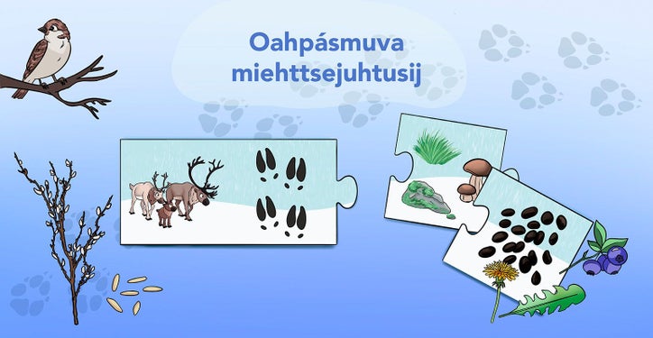 Oahpásmuvá miehttsejuhtusij. Spella