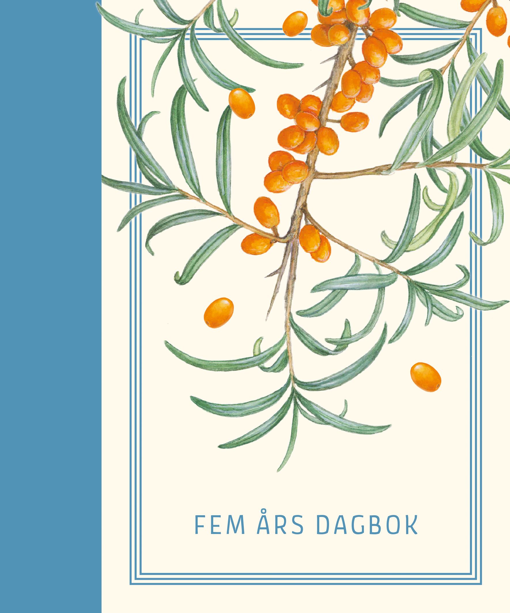 Fem års dagbok - bokstavplansjer