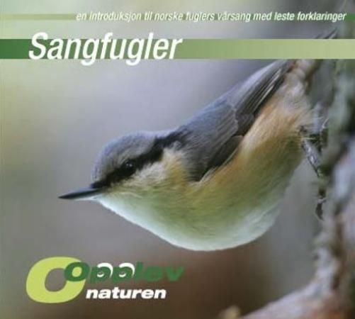 Sangfugler, En introduksjon til norske fuglers vår