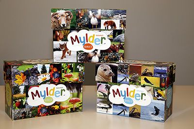 Mylder naturkort. Boks 1-3