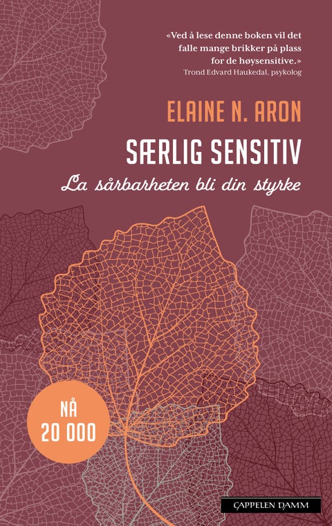 Særlig sensitiv - la sårbarheten bli din styrke