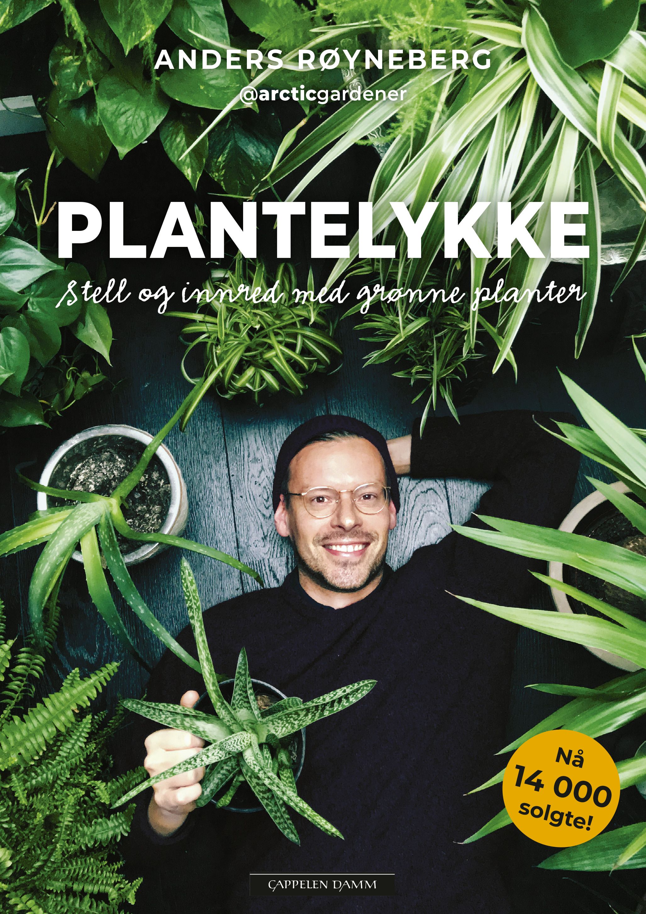 Plantelykke - stell og innred med grønne planter