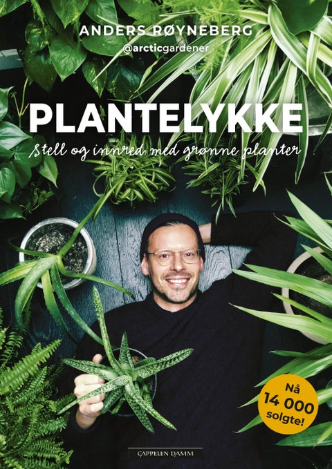 Plantelykke - stell og innred med grønne planter