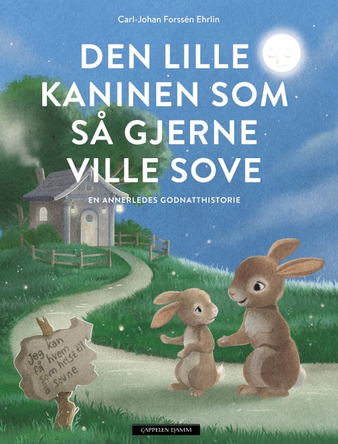 Den lille kaninen som så gjerne ville sove - en annerledes godnatthistorie