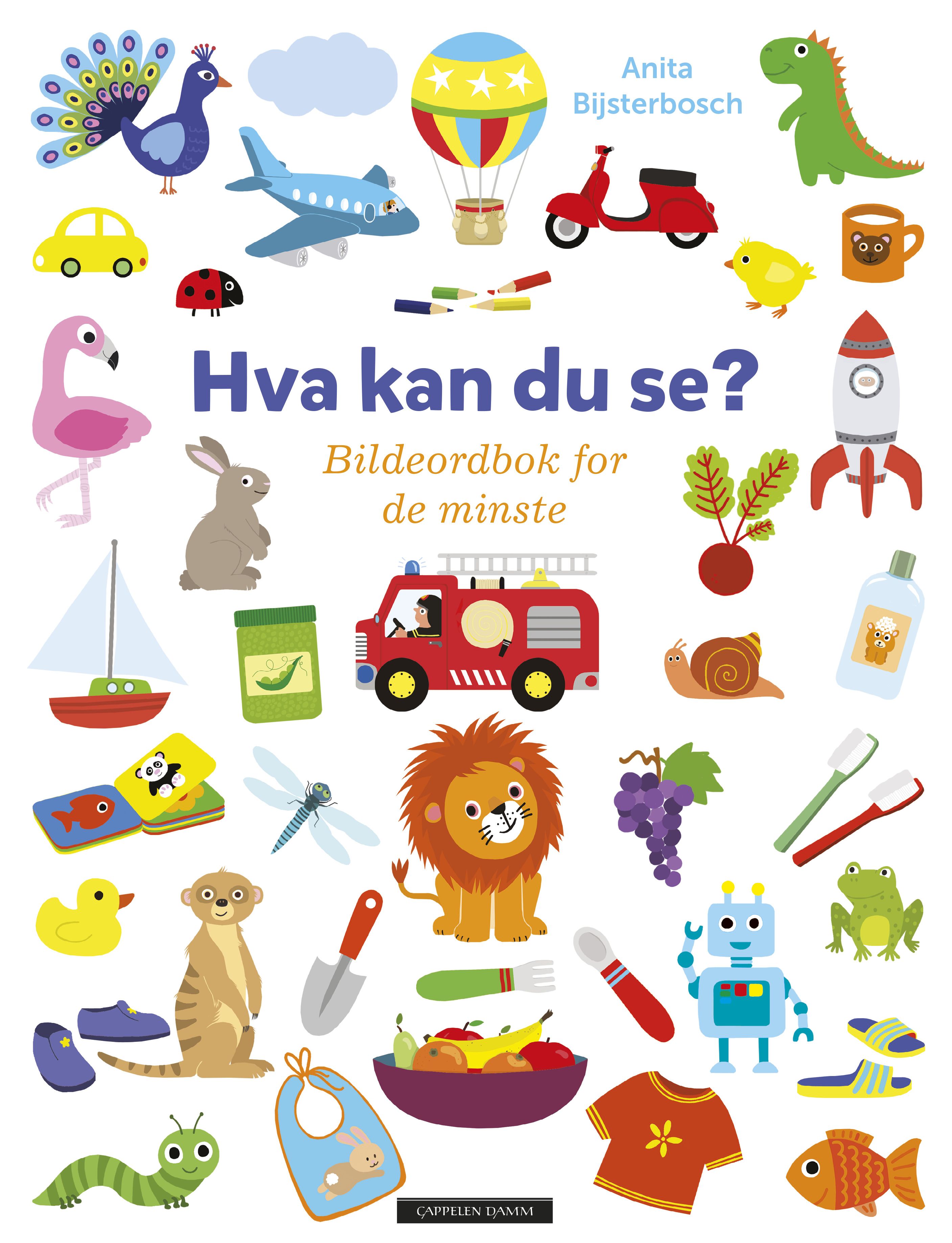 Hva kan du se? - bildeordbok for de minste