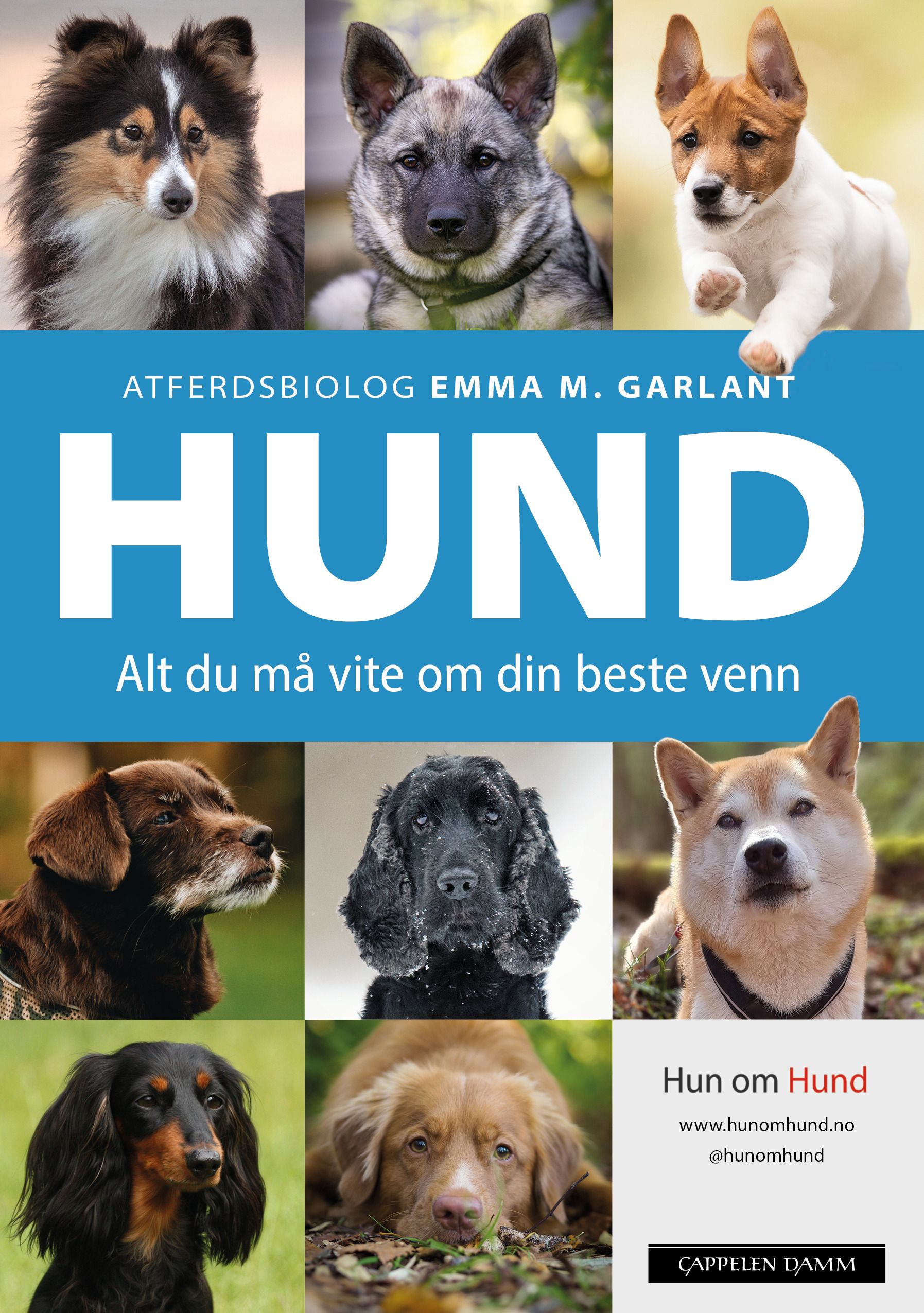 Hund - alt du må vite om din beste venn