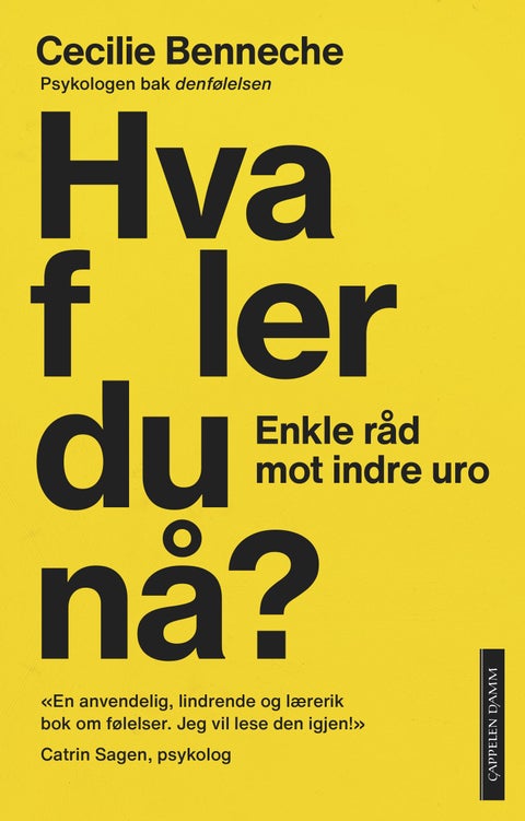 Hva føler du nå? - enkle råd mot indre uro