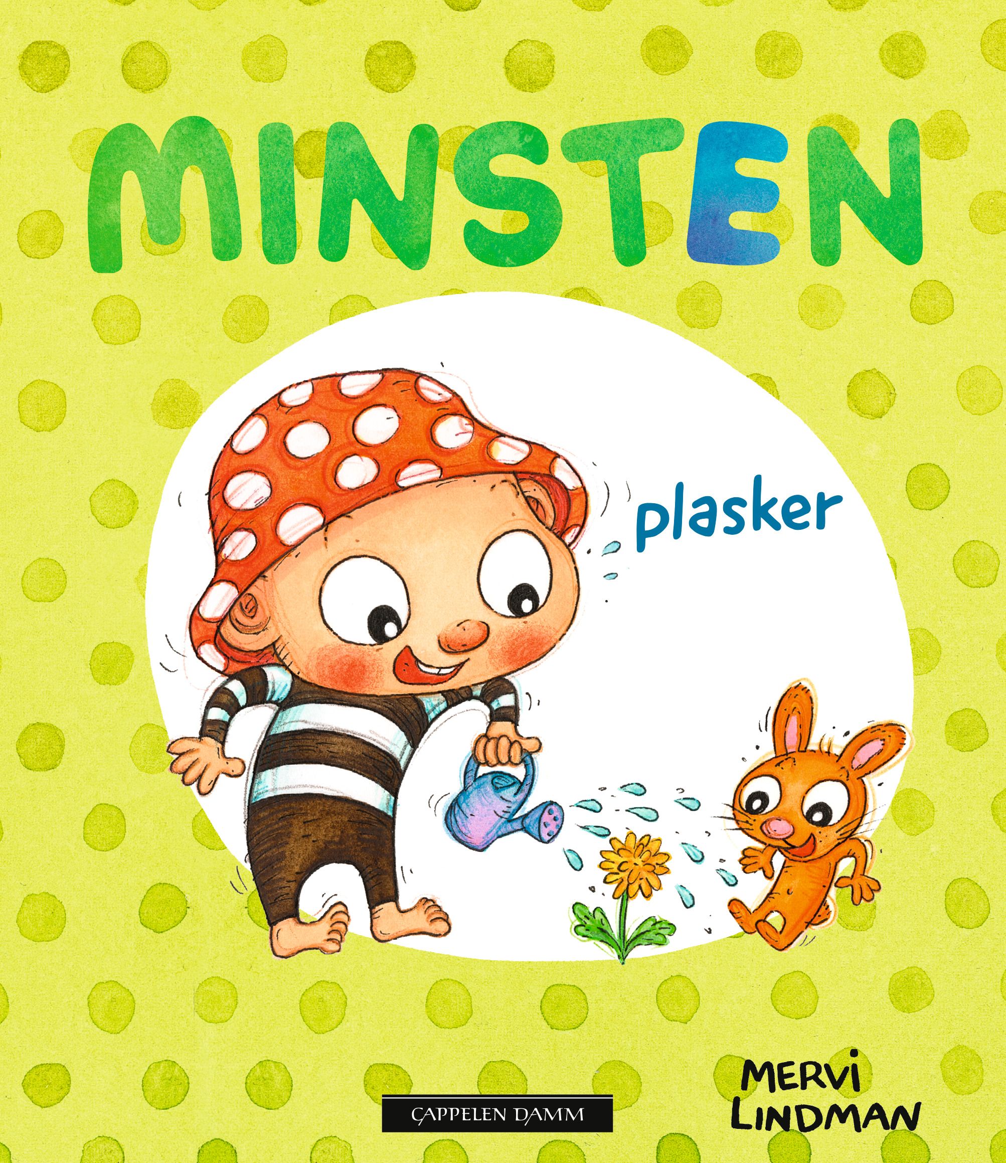Minsten plasker