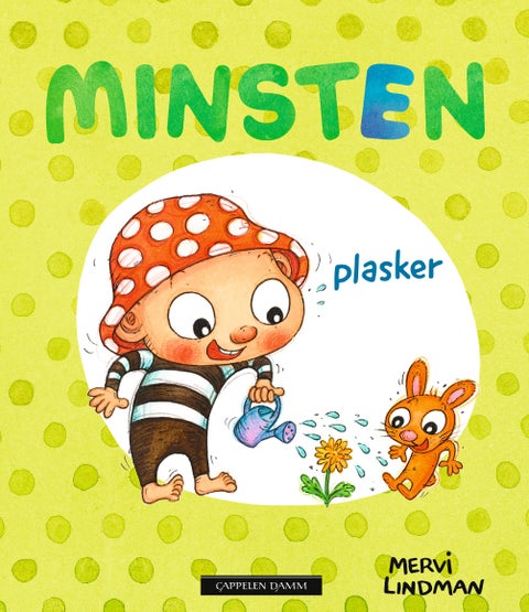 Minsten plasker