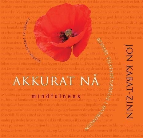 Akkurat nå - bevisst tilstedeværelse i hverdagen