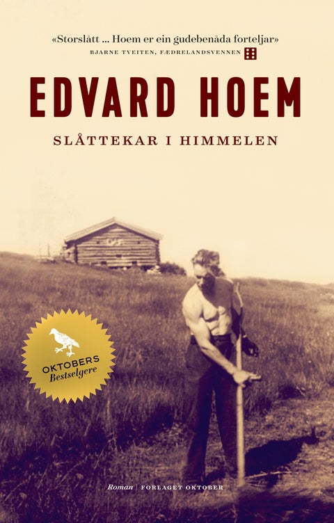Slåttekar i himmelen - roman
