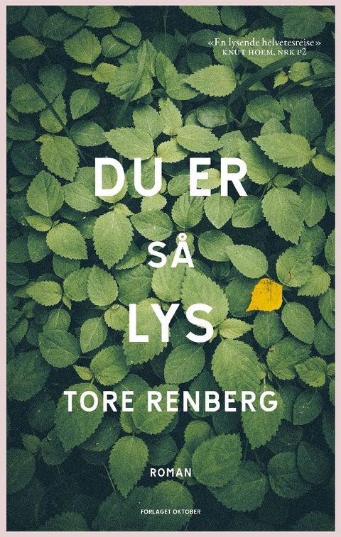 Du er så lys - roman