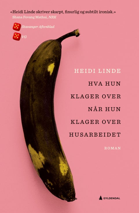 Hva hun klager over når hun klager over husarbeide - roman