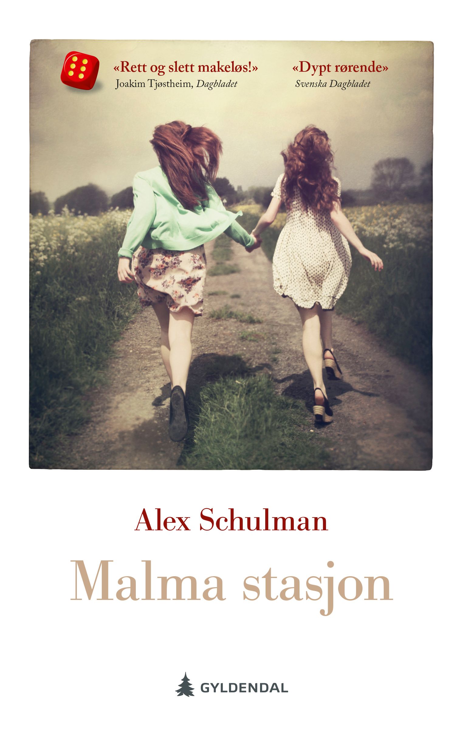 Malma stasjon - roman