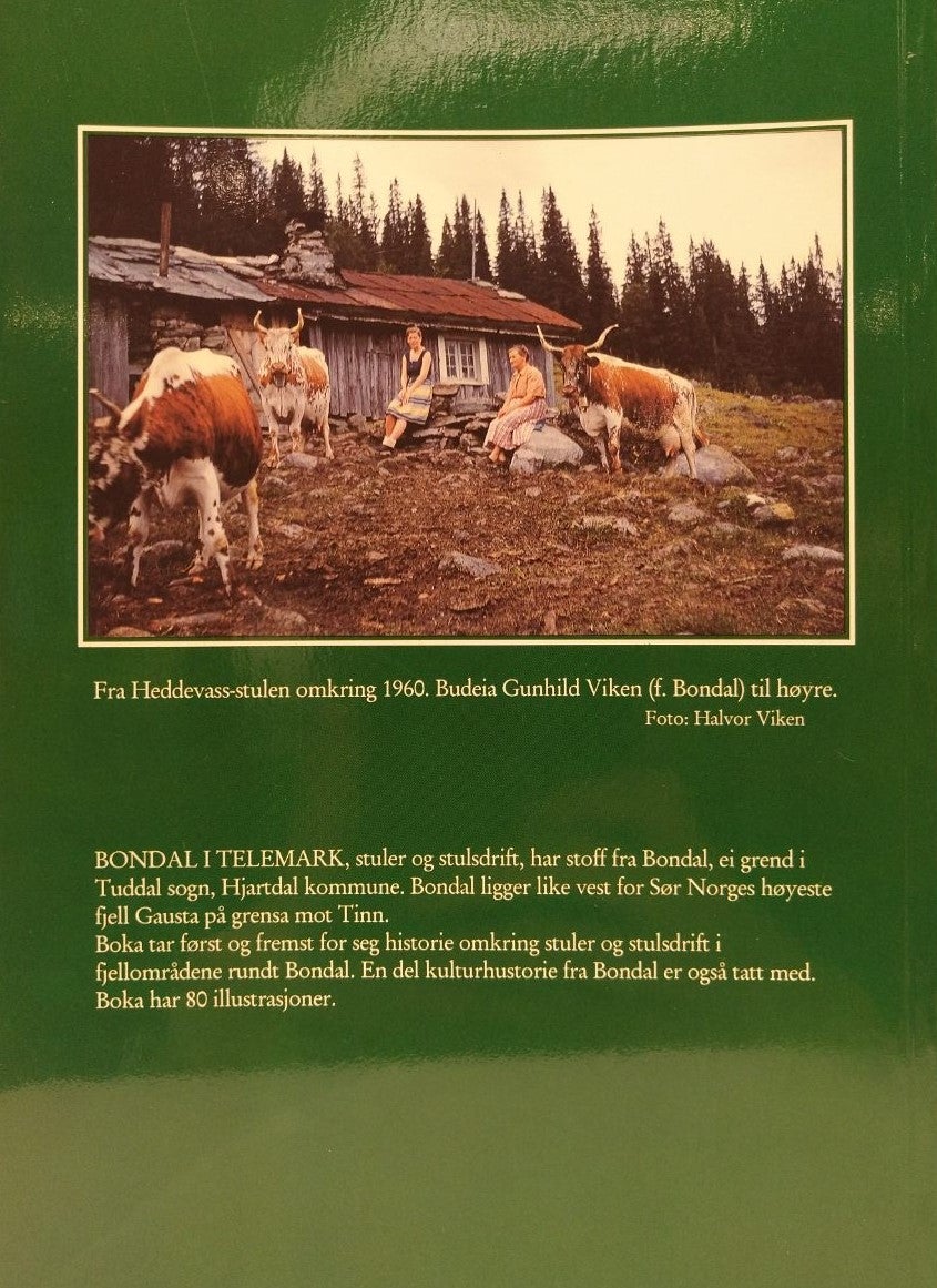Bondal i Telemark