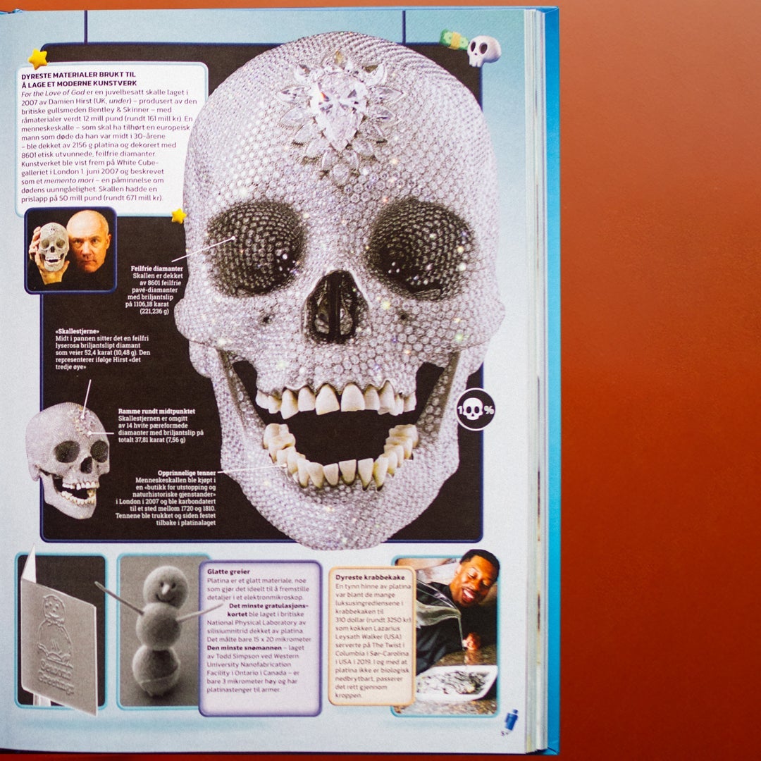 Guinness world records 2025