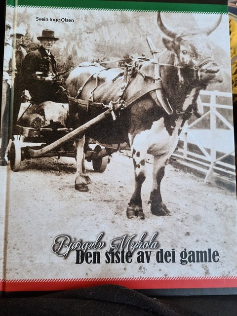 Bjørgulv Myhola - Den siste av dei gamleSvein Inge Olsen