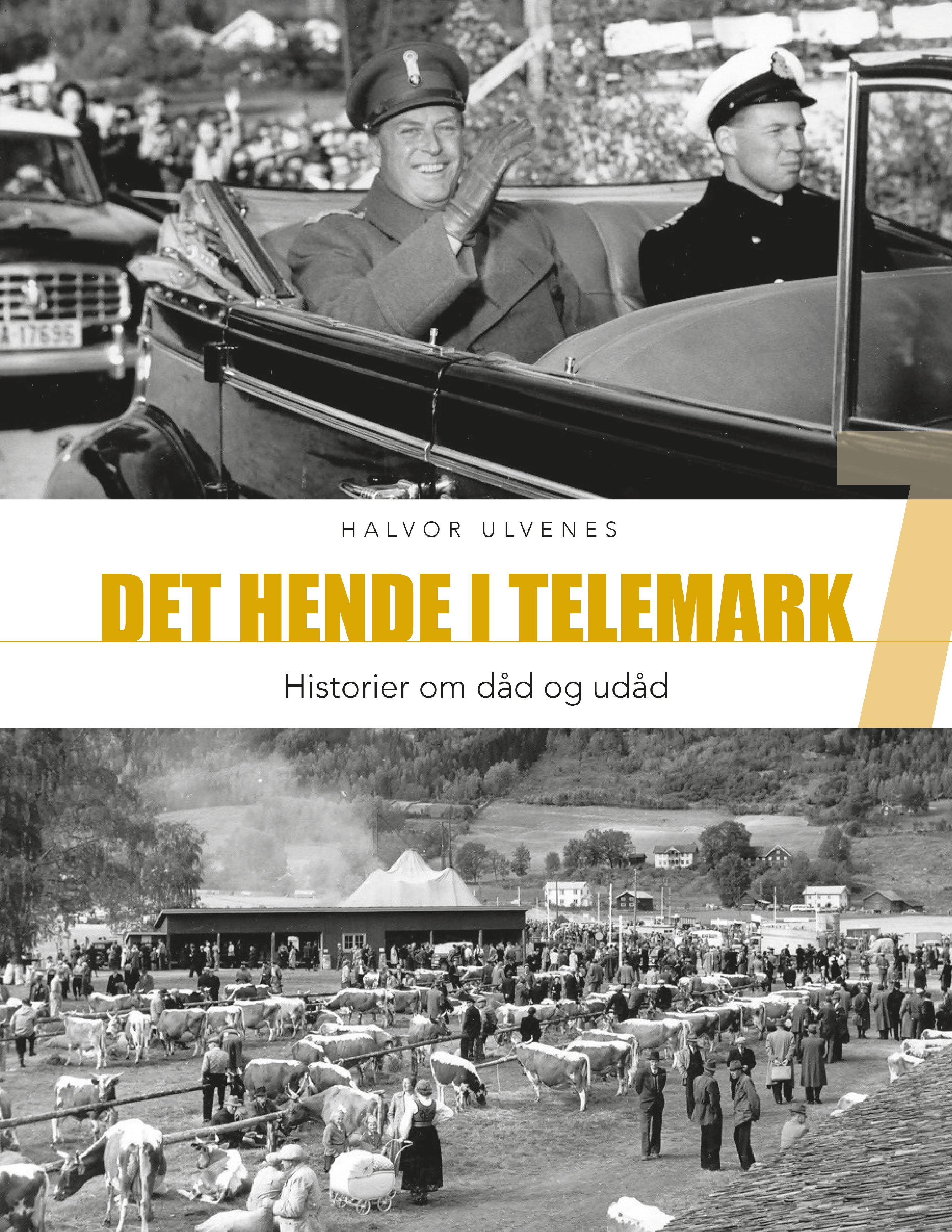 Det hende i Telemark 7 - Historier om dåd og udåd