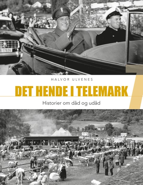 Det hende i Telemark 7 - Historier om dåd og udåd