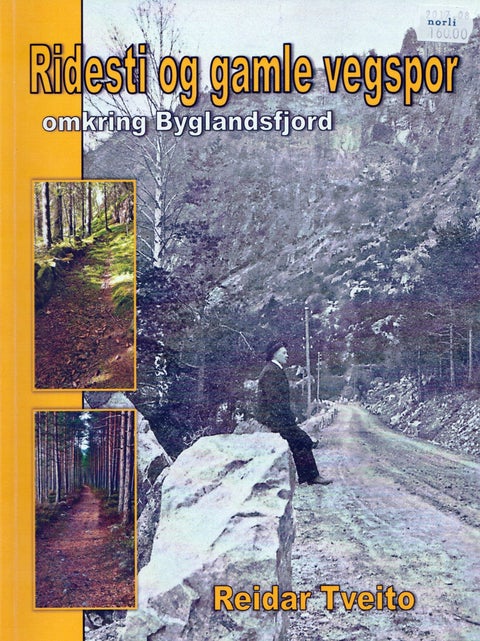 Ridesti og gamle vegspor - omkring Byglandsfjord